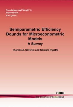 portada Semiparametric Efficiency Bounds for Microeconometric Models: A Survey