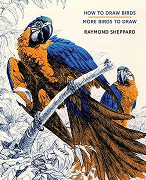 portada How to Draw Birds 