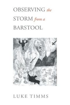 portada Observing The Storm From A Barstool (en Inglés)