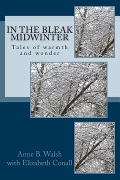 portada In the Bleak Midwinter: Tales of warmth and wonder (in English)