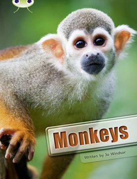 portada Bug Club Non-Fiction Monkeys (White a / nc 2a) 