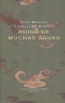 portada Ruido de Muchas Aguas (in Spanish)