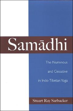 portada samadhi: the numinous and cessative in indo-tibetan yoga (in English)