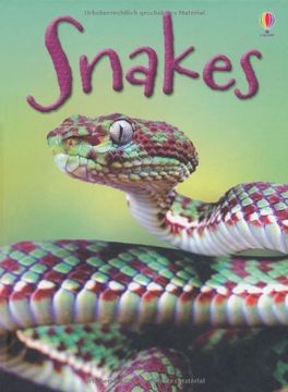portada Snakes (Beginners) (en Inglés)