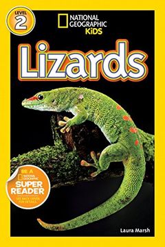 portada Lizards (in English)
