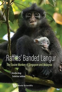 portada Raffles' Banded Langur: The Elusive Monkey of Singapore and Malaysia (Hardback)