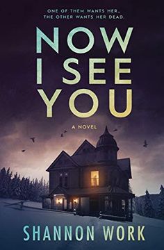 portada Now i see you (Mountain Resort Mystery Series) (en Inglés)