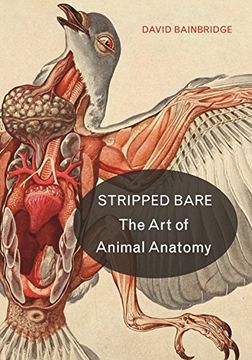 portada Stripped Bare: The art of Animal Anatomy 
