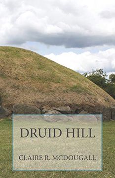 portada Druid Hill: Book 2 (Veil of Time) [Idioma Inglés] (en Inglés)