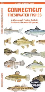 portada Connecticut Freshwater Fishes: A Waterproof Folding Guide to Native and Introduced Species (Pocket Naturalist Guide) (en Inglés)