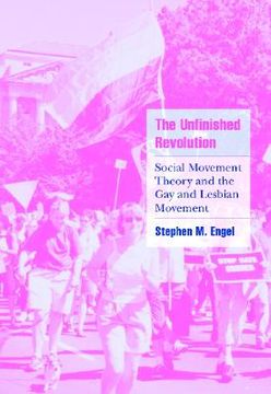 portada The Unfinished Revolution: Social Movement Theory and the gay and Lesbian Movement (Cambridge Cultural Social Studies) (en Inglés)