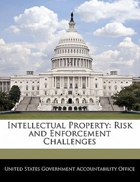 portada intellectual property: risk and enforcement challenges (en Inglés)
