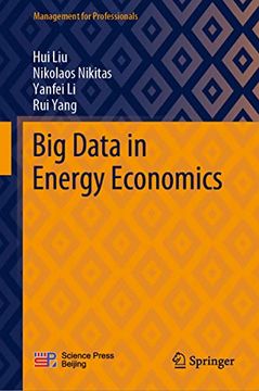portada Big Data in Energy Economics (en Inglés)