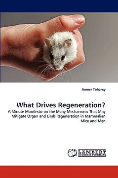 portada what drives regeneration? (in English)