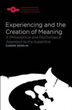 portada Experiencing and the Creation of Meaning: A Philosophical and Psychological Approach to the Subjective (Studies in Phenomenology and Existential Philosophy) (in English)
