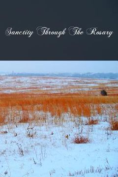 portada Sanctity Through The Rosary (en Inglés)