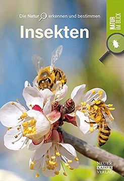 portada Insekten (en Alemán)