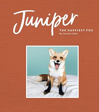 portada Juniper: The Happiest fox (in English)