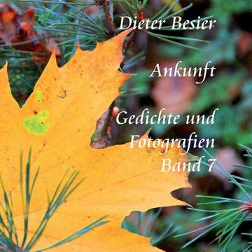 portada Ankunft: Gedichte und Fotografien Band 7 (in German)