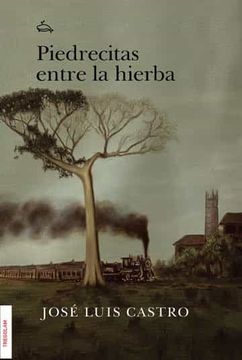 portada Piedrecitas Entre la Hierba (in Spanish)