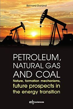 portada Petroleum, Natural gas and Coal: Nature, Formation Mechanisms, Future Prospects in the Energy Transition 