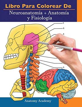 portada Libro Para Colorear de Neuroanatomía + Anatomía y Fisiología: 2-En-1 Compilación | Libro de Colores de Autoevaluación Para Estudiar muy Detallado Para Estudiar y Relajarse (in Spanish)