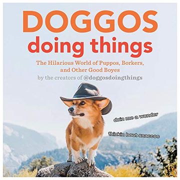 portada Doggos Doing Things: The Hilarious World of Puppos, Borkers, and Other Good Bois (en Inglés)