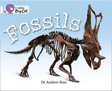 portada Fossils Workbook (Collins big Cat) (en Inglés)
