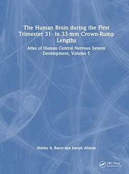 portada The Human Brain During the First Trimester 31- to 33-Mm Crown-Rump Lengths: Atlas of Human Central Nervous System Development, Volume 5 (Atlas of Human Central Nervous System Development, 5) 