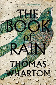 portada The Book of Rain 