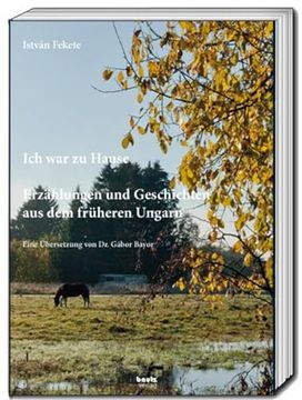 portada Ich war zu Hause (in German)