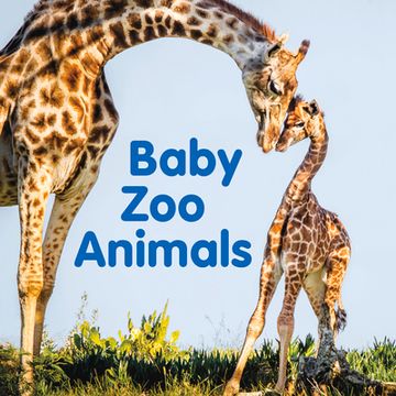 portada Baby Zoo Animals (en Inglés)