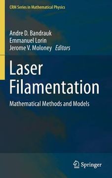 portada Laser Filamentation: Mathematical Methods and Models (en Inglés)