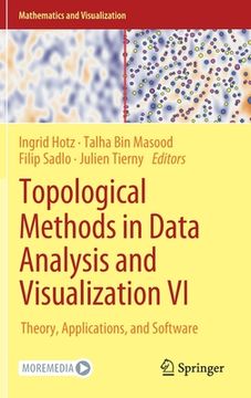 portada Topological Methods in Data Analysis and Visualization VI: Theory, Applications, and Software (in English)