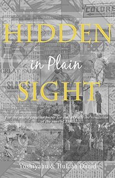 portada Hidden in Plain Sight: The Revelation of the Son's of Yah in America