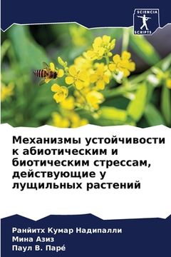portada Механизмы устойчивости & (en Ruso)