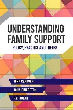 portada Understanding Family Support: Policy, Practice and Theory (en Inglés)
