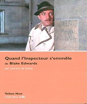 portada Quand L'inspecteur S'emmele: Paradoxes sur le Desordre (in French)