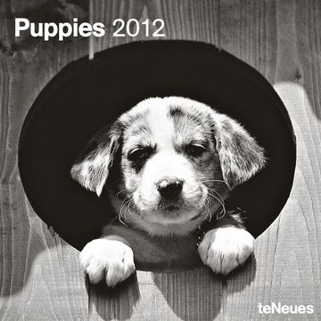 portada 2012 Puppies Grid Calendar