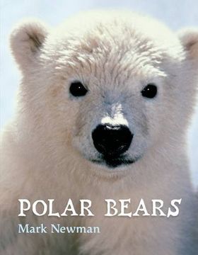 portada Polar Bears