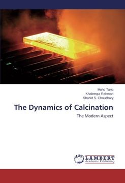 portada The Dynamics of Calcination