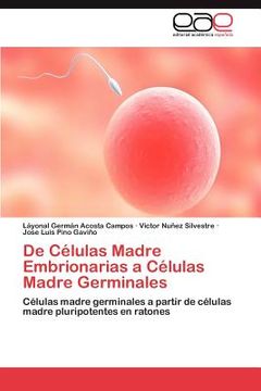 portada de c lulas madre embrionarias a c lulas madre germinales (en Inglés)