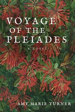 portada Voyage of the Pleiades