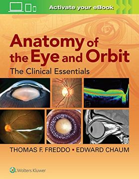 portada Anatomy of the Eye and Orbit: The Clinical Essentials (en Inglés)