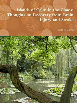 portada Islands of Calm in the Chaos: Thoughts on Recovery From Brain Injury and Stroke (en Inglés)