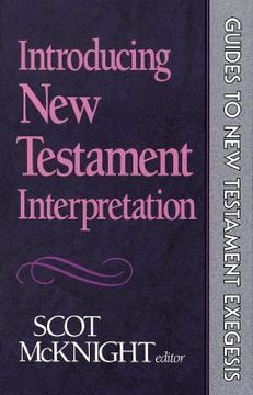 portada introducing new testament interpretation (en Inglés)
