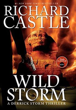 portada Wild Storm: A Derrick Storm Novel (Derrick Storm 5)