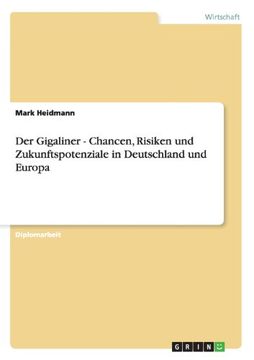 portada Der Gigaliner - Chancen, Risiken und Zukunftspotenziale in Deutschland und Europa (German Edition)