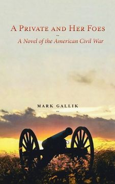 portada A Private and Her Foes: A Novel of the American Civil War (in English)