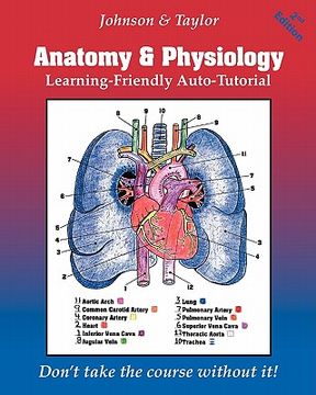 portada anatomy & physiology learning-friendly auto-tutorial (in English)